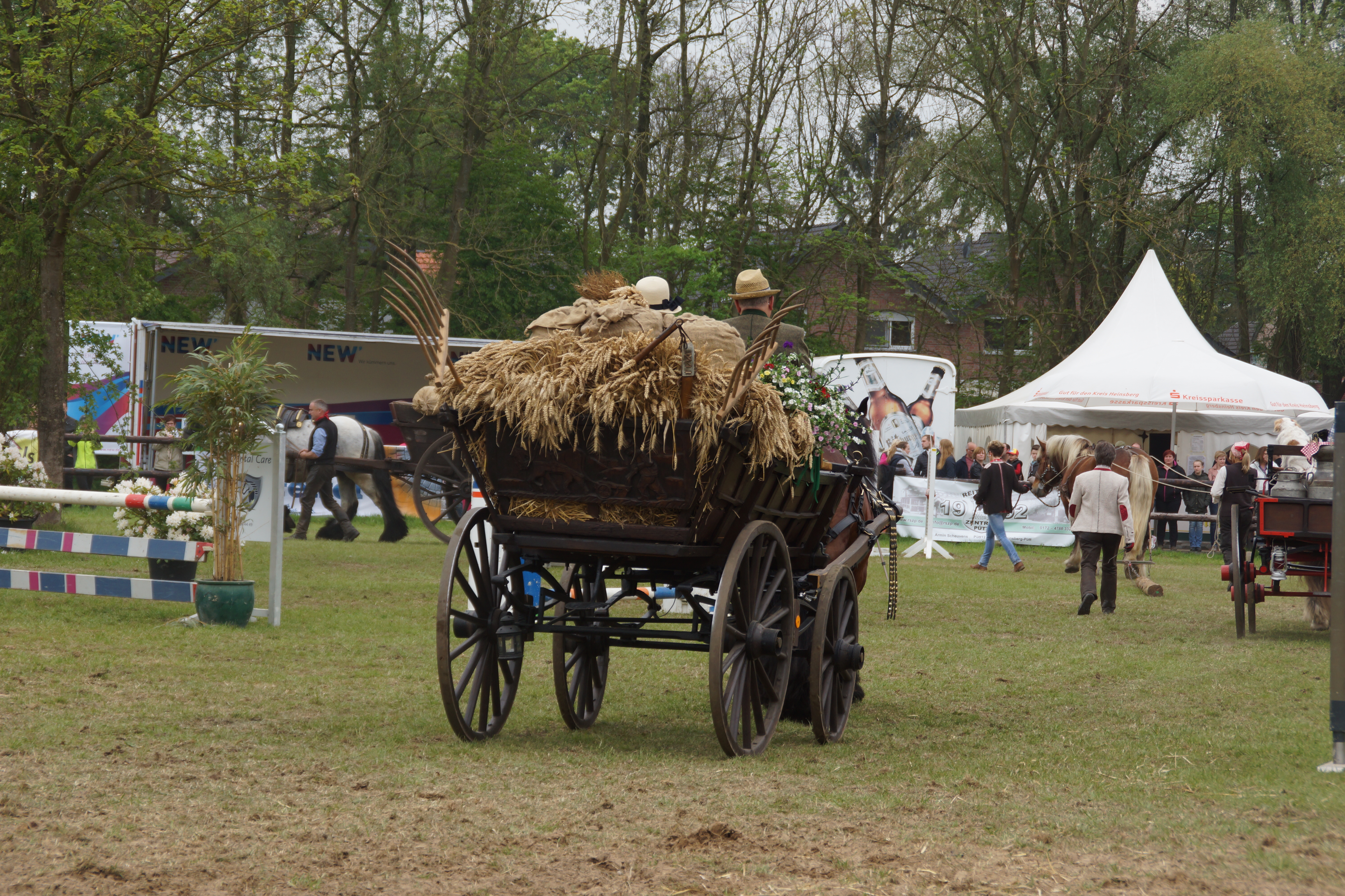 Tag des Pferdes 2017 Reiten